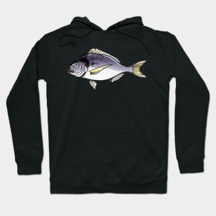 Fish-1 Gilt-Head Bream Hoodie